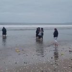 WhatsApp Image 2025-11-25 at 11.04.13