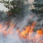 WhatsApp Image 2026-01-08 at 10.36.34