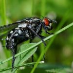 WhatsApp Image 2026-01-08 at 10.50.42