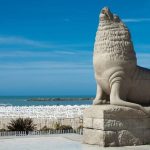 WhatsApp Image 2026-01-08 at 10.58.22