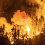 WhatsApp Image 2026-01-23 at 11.04.27