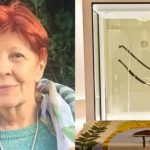 WhatsApp Image 2026-02-04 at 11.51.18