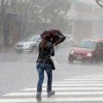 WhatsApp Image 2026-02-27 at 11.31.02