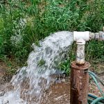 AGUA TRAMPA DEL TIGREEE