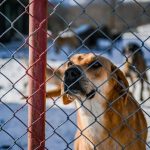 WhatsApp Image 2026-03-10 at 10.58.41