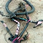 WhatsApp Image 2026-03-10 at 11.15.33 (1)