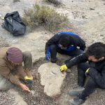 Captura de pantalla 2026-04-24 202309